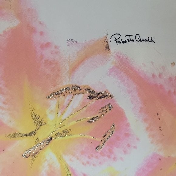 Roberto Cavalli corset charm top - Picture 10 of 15